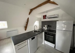 Appartement confortable proche des Thermes avec lave-vaisselle et options de location de linge - FR-1-541-9