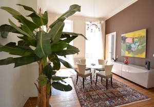 Appartement Haut de Gamme Places des Grands Hommes