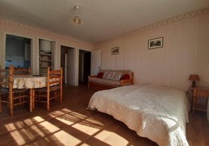 Appartement La Roche-Posay, 1 pièce, 4 personnes - FR-1-541-8
