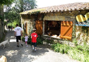 Camping Les Catalpas *** - Chalet 2 Rooms 5 Persons
