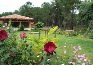 Campsite LANDES OCEANES * - MH 4 people GRAND CONFORT 4 people