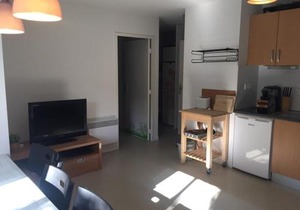 Charmant appartement au pied des pistes, pour 6 personnes avec parking et casier à skis - FR-1-602-61