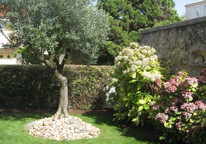 Charming studio for 2 people with terrace 100 meters from the sea and the beach