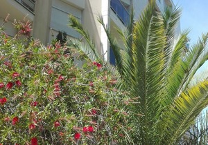 Charming two rooms near the beach and the center