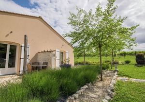 Cosy Apartment in Segonzac with Swimming Pool