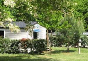 Flower Camping Les Nauves * - Mobil home Standard 29 m2 2 bedrooms - uncovered terrace 4 people