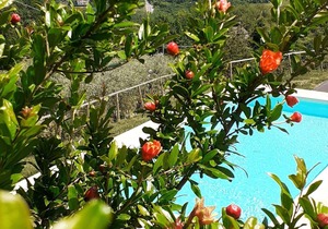 Holiday apartment Rignano Sull'Arno for 2 persons with 1 bedroom - Holiday apartment
