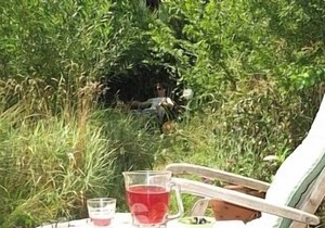 Holiday Cottage On Our Organic Smallholding