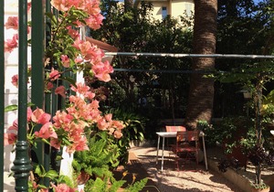 Hotel Villa Rose