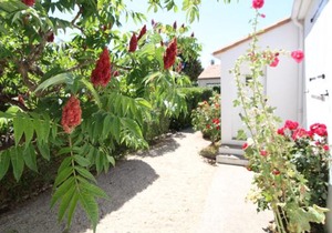Maison de plain-pied avec jardin clos, proche de la plage et des commerces - FR-1-494-58