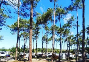 Mobile home 66472 TyBreizh Vacances aux Dunes de Contis 3 excluding fun pass