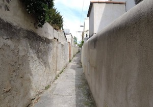 Petit Coin de Paradis au Cœur de Marseille