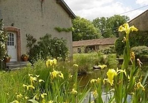 Summer house at our Organic Farmhouse