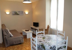 T2 lumineux au centre-ville de La Roche-Posay, proche thermes, avec Wi-Fi et lave-linge - FR-1-541-1