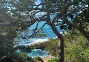 Villa Calanques