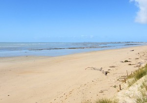 Villa La Couarde-sur-Mer, 4 bedrooms, 8 persons