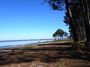 Résidence Les Cottages | Biscarrosse Plage