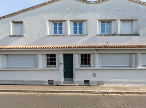 Primevère | Royan