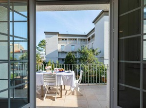 Primevère | Royan