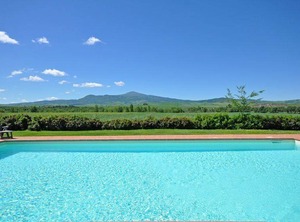 Pienza | Gallina