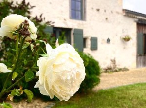 La Buissonnière | Bardou