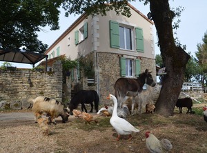 Mobilhome Ferme Piscine | Gabillou