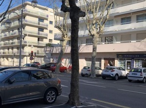 Neptune | Arcachon