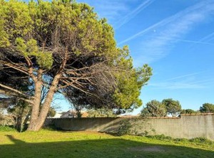 Charmante Villa À Proximité De La Plage | La Couarde-sur-Mer