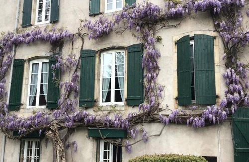 Bedous Bed & Breakfast | 20 m² Bed and breakfast ∙ 2 bedrooms ∙ 4 guests