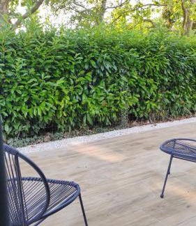 Sainte-Soulle Bed & Breakfast | 20 m² Bed and breakfast ∙ 2 guests