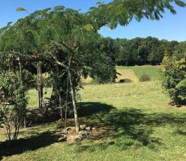 Veyrines-de-Vergt Bed & Breakfast | 25 m² Bed and breakfast ∙ 5 guests