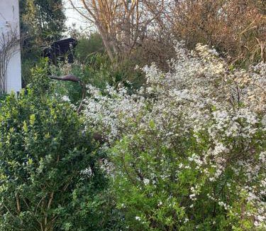 Villenave-d'Ornon Bed & Breakfast | 25 m² Bed and breakfast ∙ 2 guests