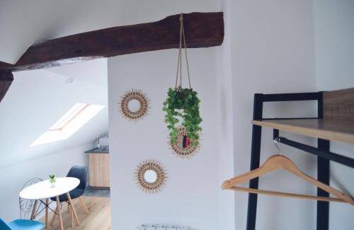 Chatellerault Apartment | 25 m² Serviced apartment ∙ 2 guests