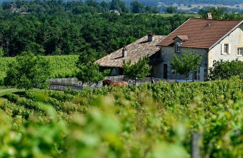 Saussignac Cottage | 278 m² Cabin ∙ 6 bedrooms ∙ 13 guests