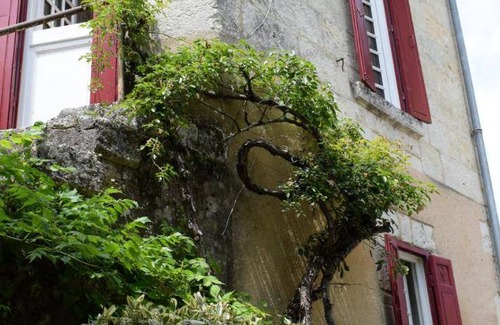 Aubeterre-sur-Dronne Apartment | 38 m² Apartment ∙ 1 bedroom ∙ 2 guests