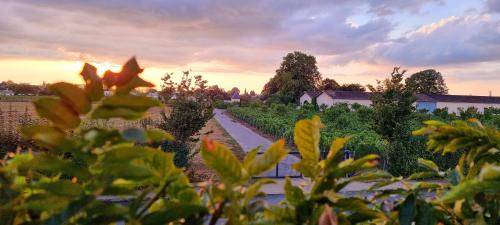 Libourne Apartment | 40 m² Apartment ∙ 3 guests
