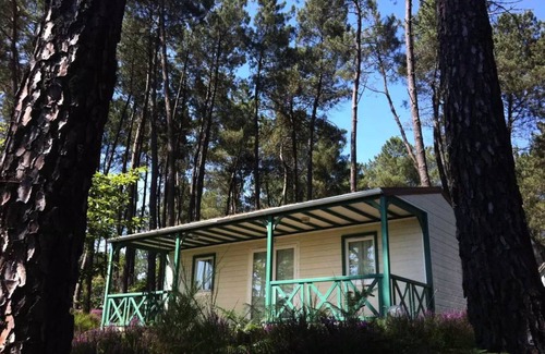Tamnies Ski Chalet | 40 m² Chalet ∙ 3 bedrooms ∙ 6 guests