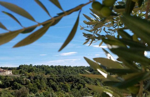 Baudinard-sur-Verdon House | 48 m² House ∙ 1 bedroom ∙ 3 guests