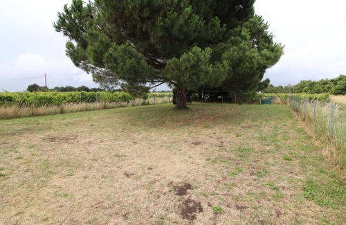 Saint-Georges-d'Oleron House | 53 m² House ∙ 2 bedrooms ∙ 5 guests
