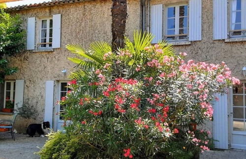 Chateauneuf-sur-Charente Cottage | 55 m² Cabin ∙ 2 bedrooms ∙ 4 guests
