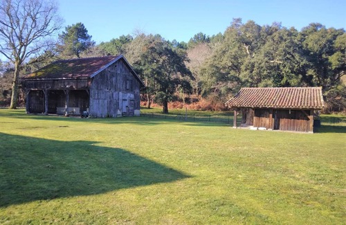 Vielle-Saint-Girons Apartment | 6 Room apatement between forest and ocean