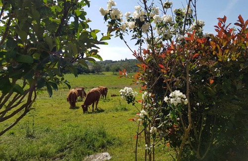 Saint-Augustin House | 60 m² Gîte ∙ 2 bedrooms ∙ 4 guests