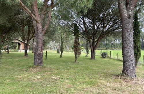 Messanges Villa | 60 m² Villa ∙ 2 bedrooms ∙ 4 guests