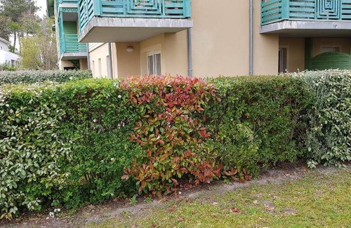 Audenge Apartment | 62 m² Apartment ∙ 2 bedrooms ∙ 4 guests