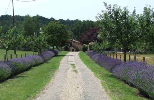 Le Bugue House | 90 m² Gîte ∙ 3 bedrooms ∙ 5 guests