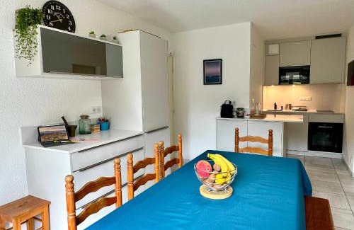 Le Penon Apartment | Appartement lumineux à 300m de l'océan et proche du marché, rez-de-chaussée, terrasse aménagée. - FR-1-239-1041