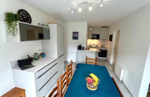 Le Penon Apartment | Appartement lumineux à 300m de l'océan et proche du marché, rez-de-chaussée, terrasse aménagée. - FR-1-239-1041