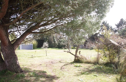 La Couarde-sur-Mer House | Beautiful longère in the heart of the island