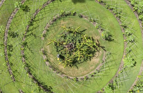 Salles-en-Toulon House | Beauty Park - Lemurian Hut 2 people