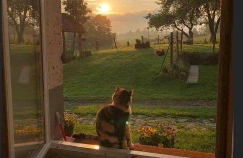 Le Lindois Bed & Breakfast | Bed and breakfast ∙ 2 guests